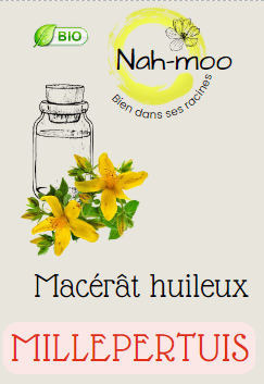 Cueillette sauvage et production de plantes aromatiques et médicinales